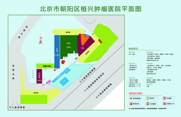 XBXB看黄网站北京市朝阳区桓兴肿瘤医院平面图